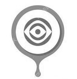 Our Vision Our Vision